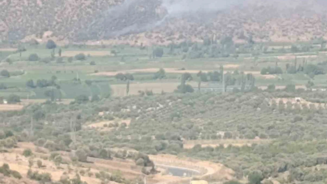 Nazilli'de makilik ve zirai alan yangını