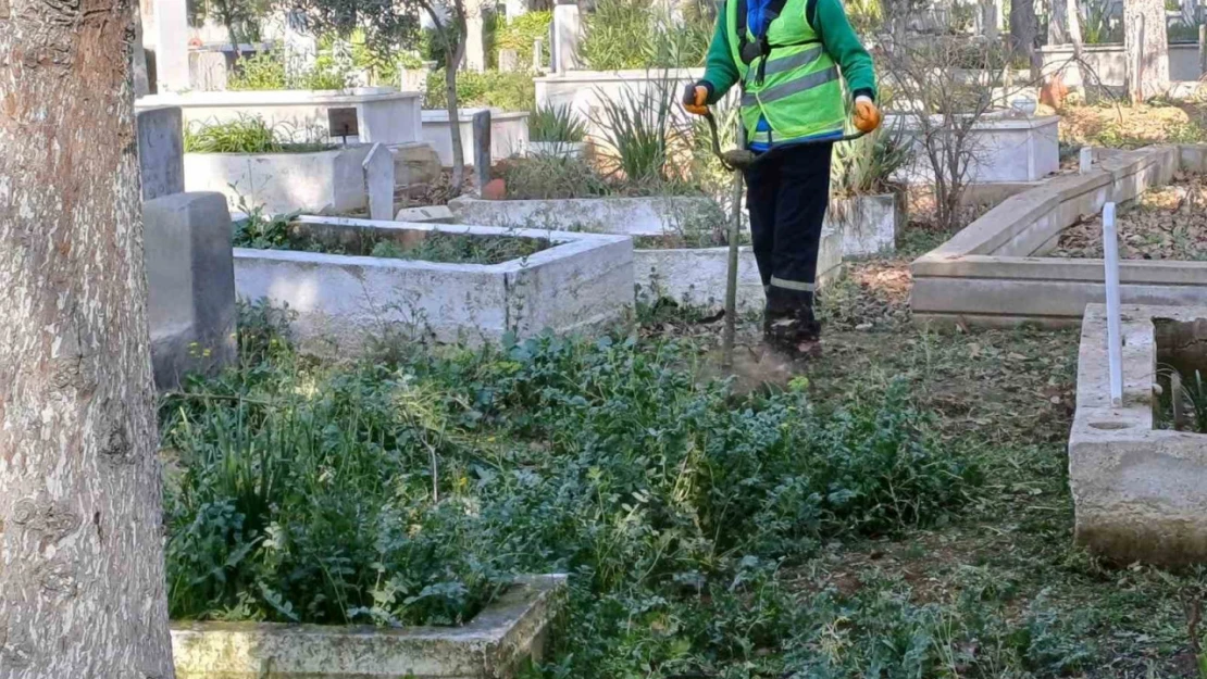 Nazilli'de mezarlıklar bakıma alındı