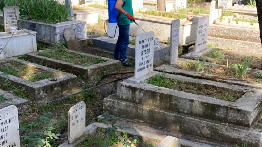 Nazilli'de mezarlıklar Ramazan Bayramı öncesi bakıma alındı