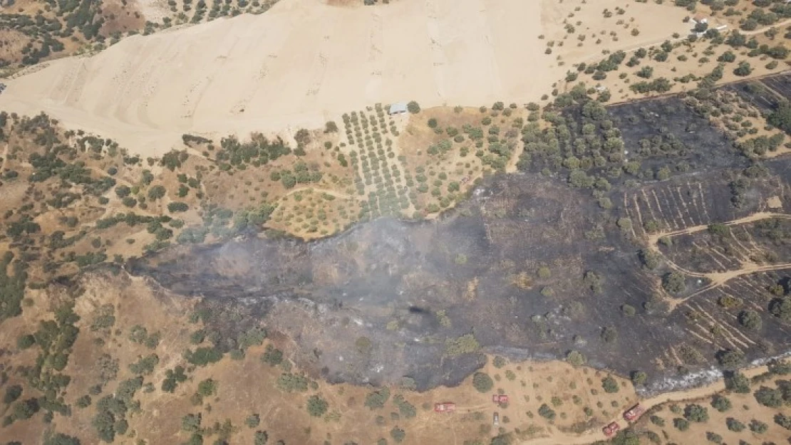 Nazilli'de orman yangını: 6 hektar alan yandı