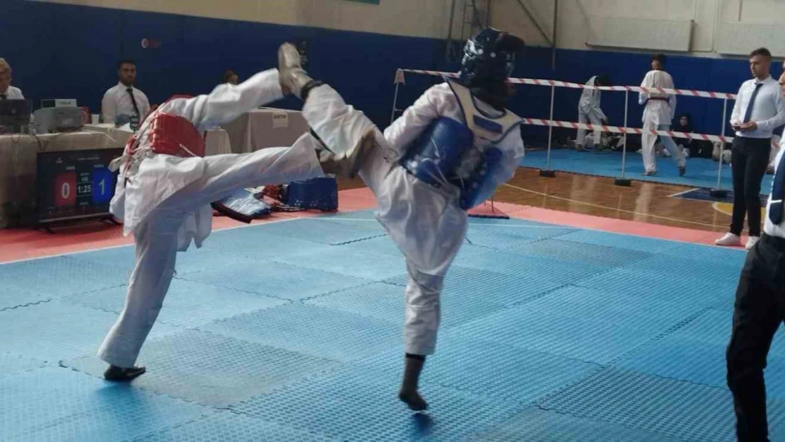 Nazilli'de Taekwondo rüzgarı