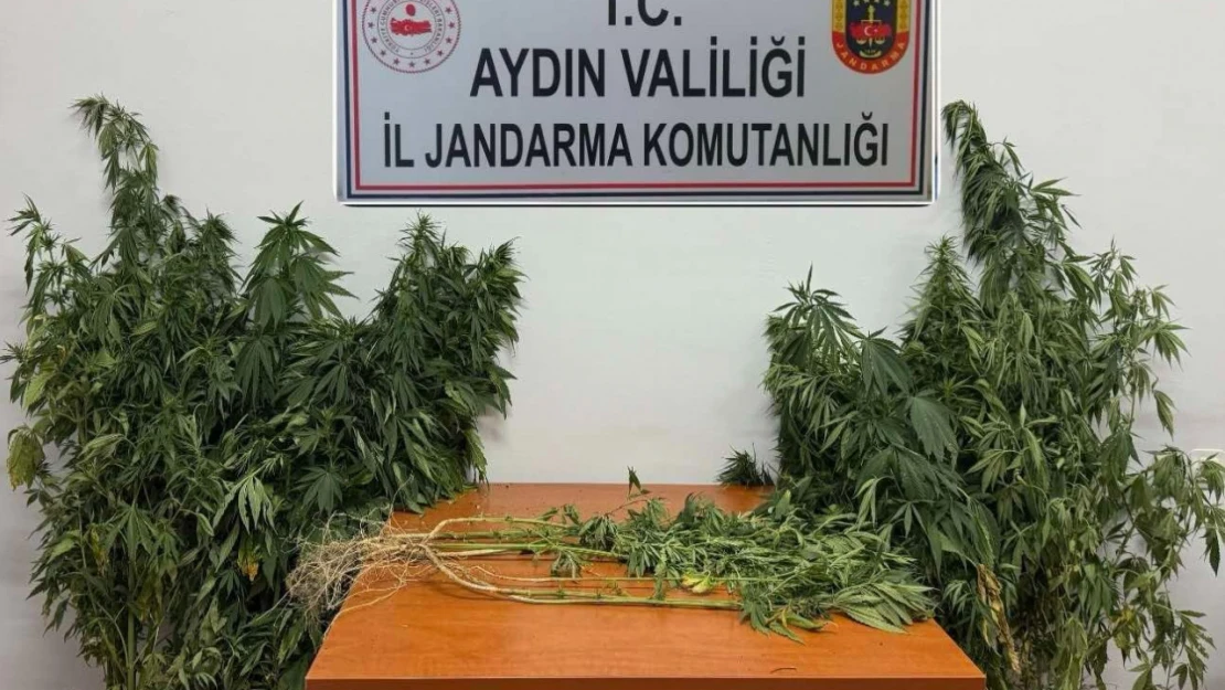 Nazilli'de uyuşturucu operasyonu