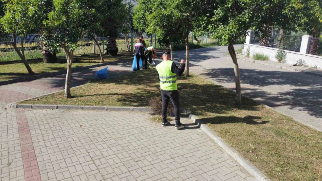 Nazilli'de yabani otlar temizleniyor