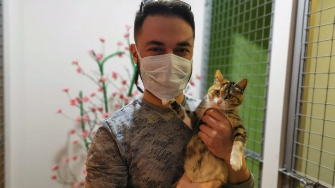 Nazilli'nin ilk kedi oteli açıldı