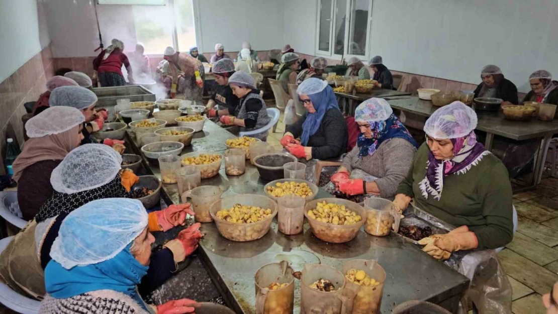 Nazilli'nin Kestane Şekeri, Uzakdoğu sofralarını süslüyor