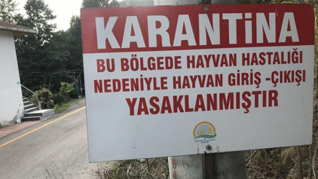 Nazilli ve Kuyucak karantinaya alındı