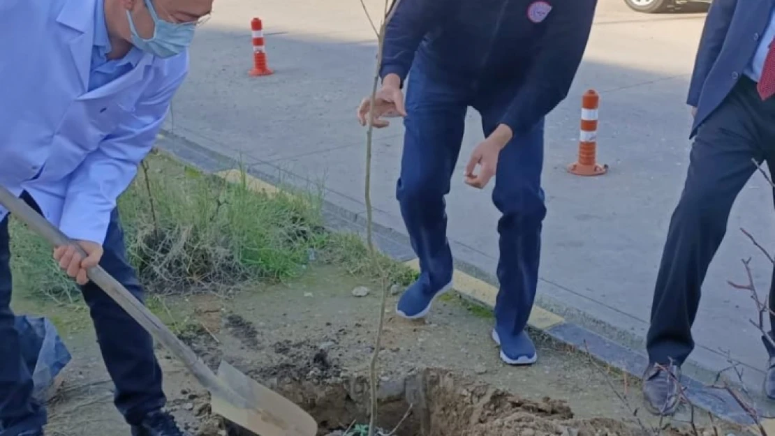 NDH'de 110 fidan toprakla buluştu