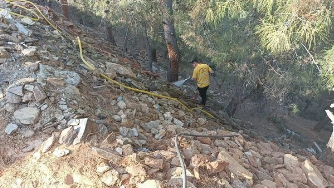 Ormanlık alandaki yangın büyümeden söndürüldü