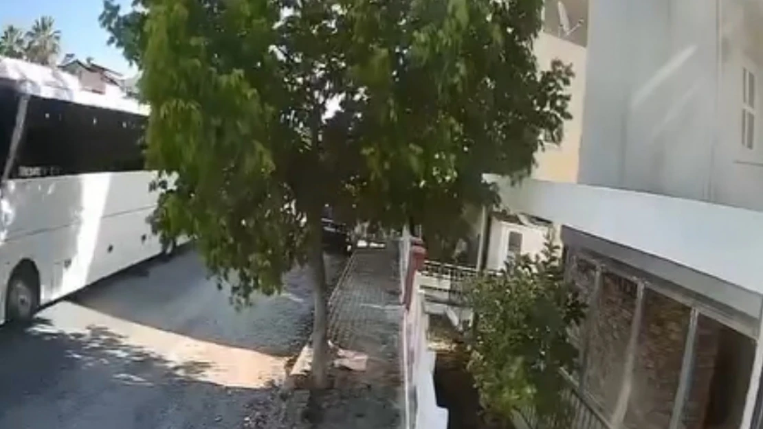 Otobüs şoförü sokak köpeğini ezdi