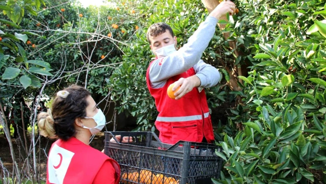 Sağlık çalışanlarına 'portakal' dopingi