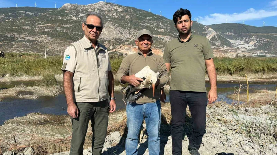 Sofya'dan Kuşadas'ına gelen yaralı leylek doğaya salındı