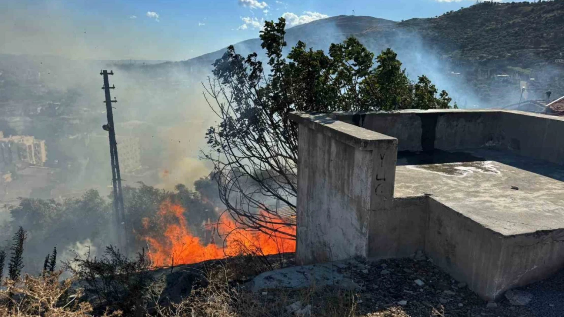 Söke'de otluk alanda çıkan yangın ahıra sıçradı