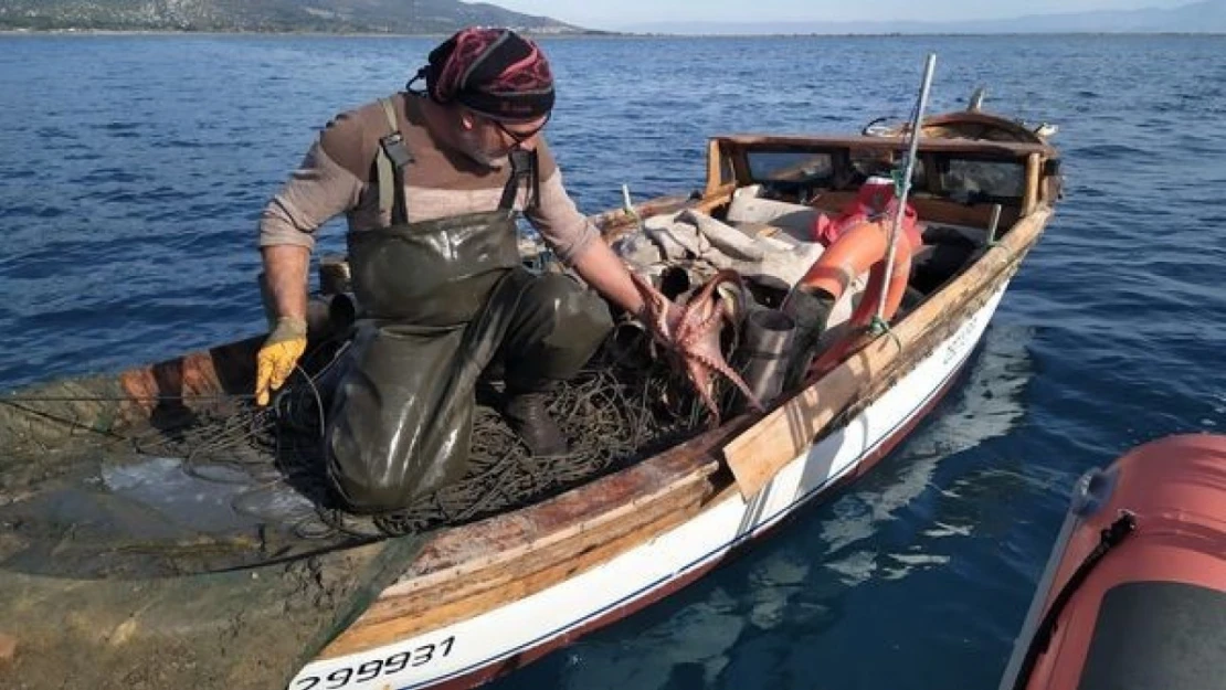 Söke'de su ürünleri denetimi