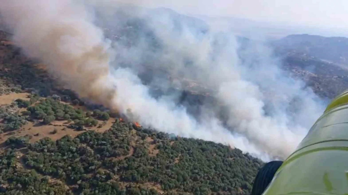 Söke'deki yangın kontrol altına alındı