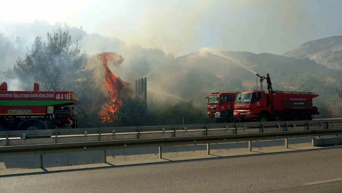 Söke'deki yangın kontrol altına alındı