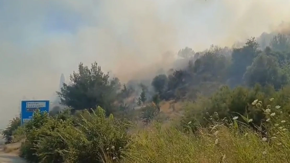 Söke'deki yangın ormana sıçradı