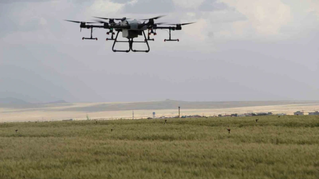Sökeli üreticilere drone ile ilaçlama uyarısı