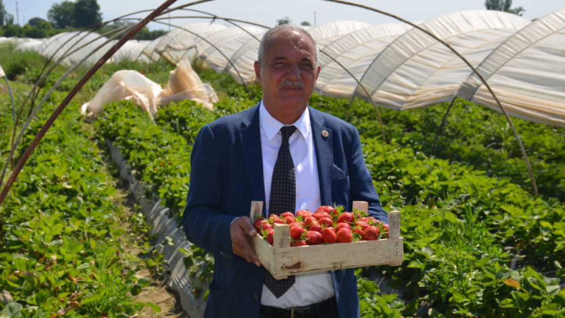 Sultahisar'da festival coşkusu başlıyor