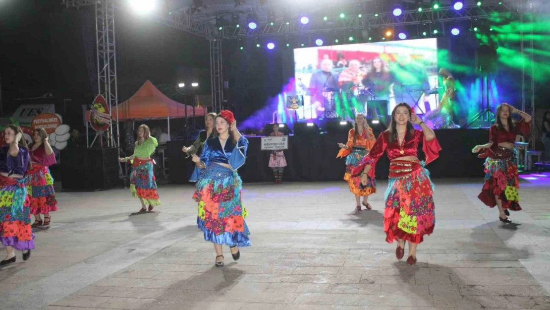 Sultanhisar'da festival, dans şovları ve konser ile başladı