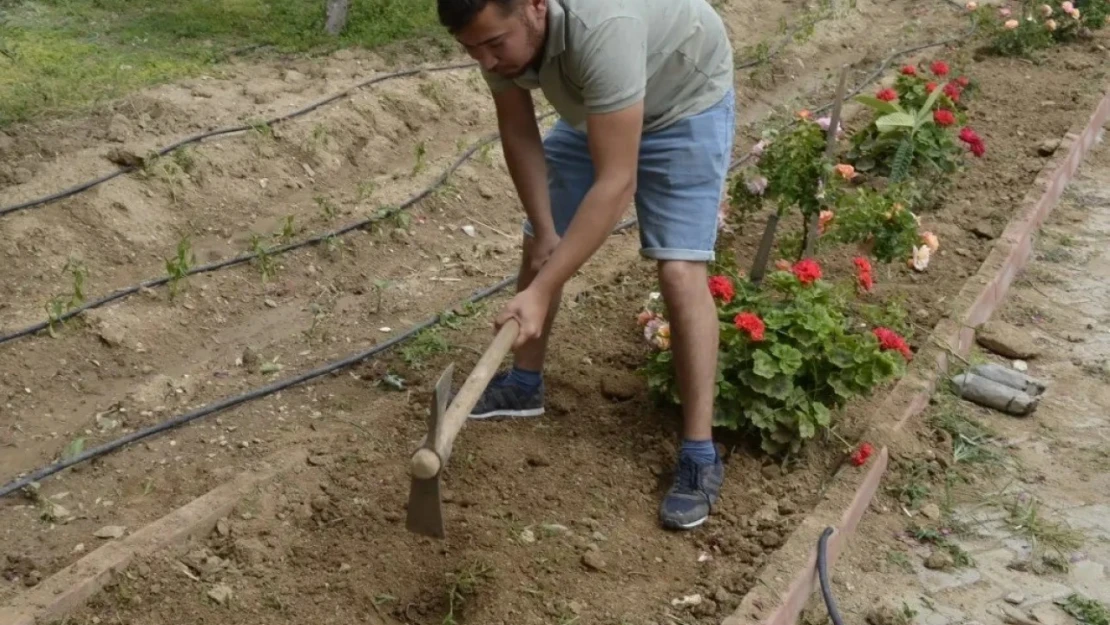 Sultanhisar'da fidanlar toprakla buluştu