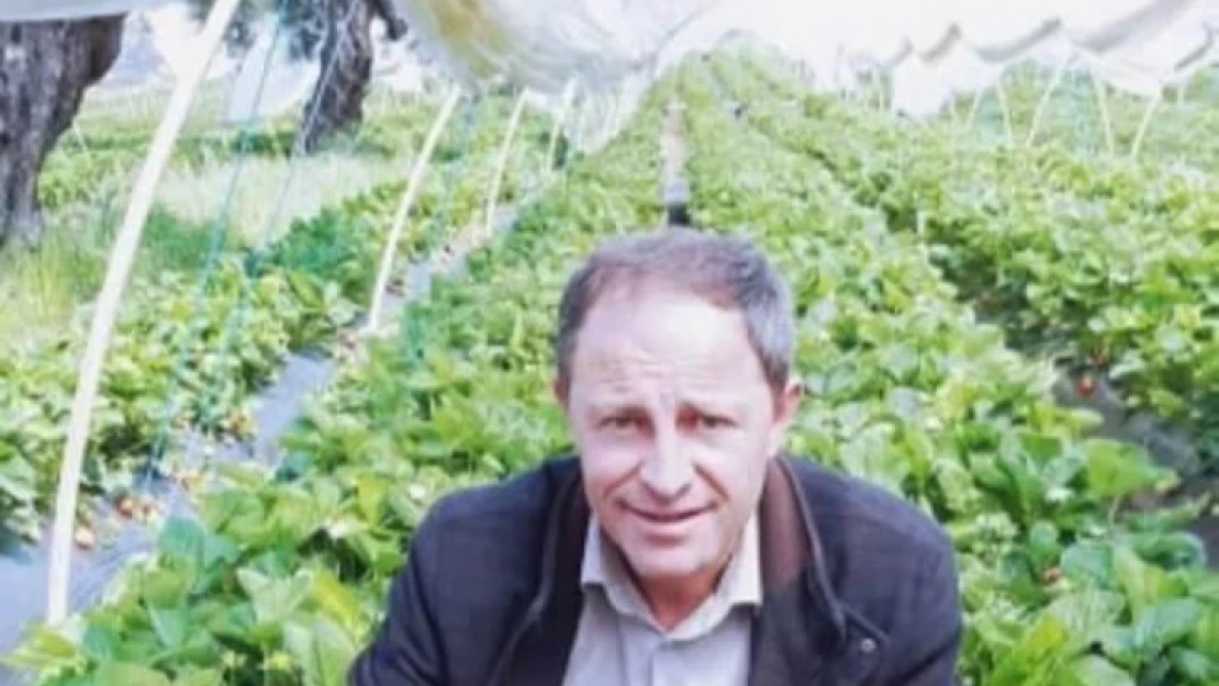 Sultanhisarlı üreticilerin ödenekleri, hesaplarına yatırıldı