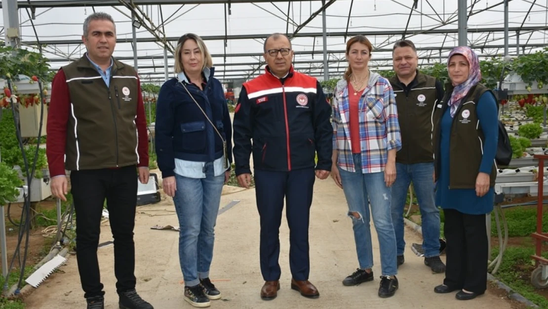 Topraksız tarımsal üretim yapan serada incelemelerde bulunuldu