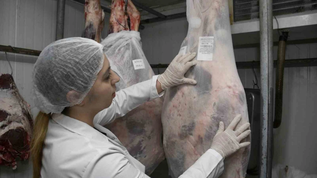 Uzmanlar uyardı: 'Taze etler şoklandıktan sonra eksi 18 derecede 6 ay saklanabilir'