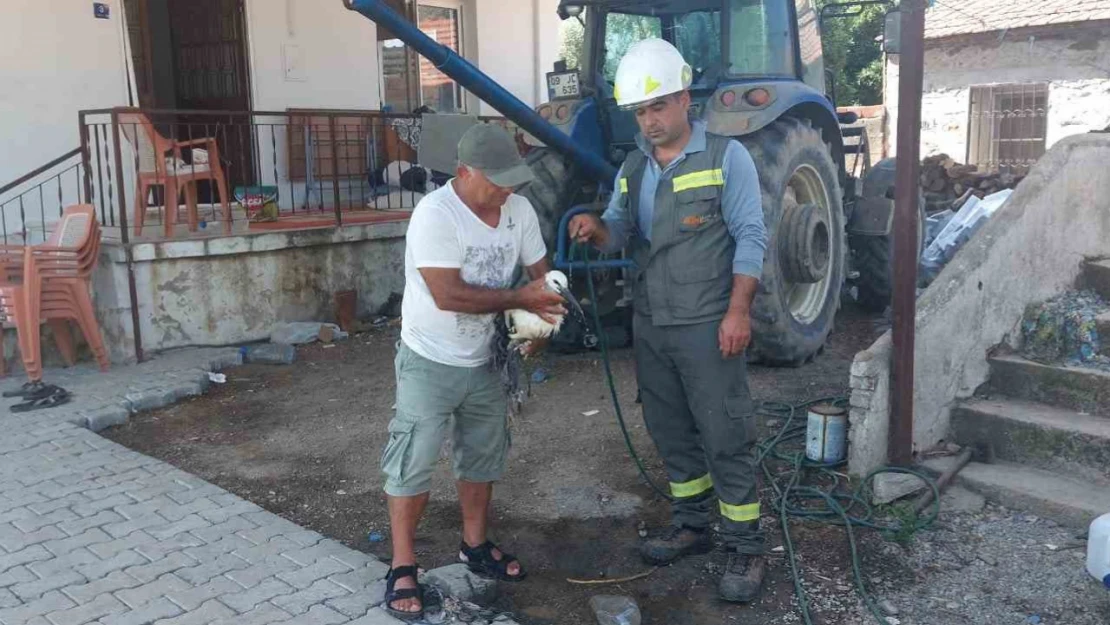 Vatandaşların dikkati leylek yavrusunu kurtardı