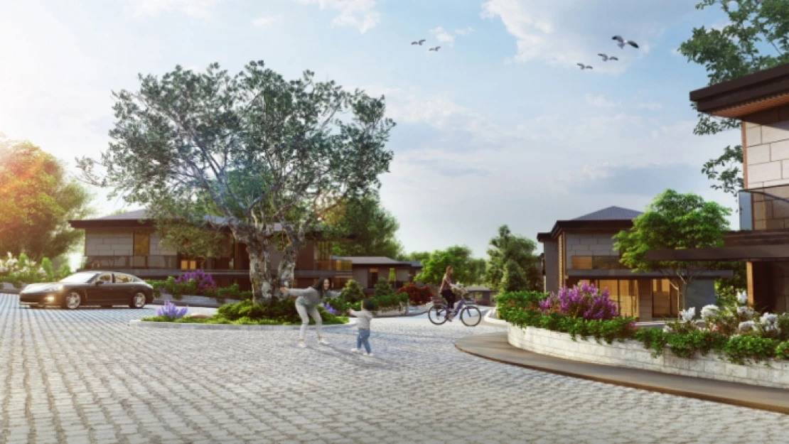 Villa Nedir? Çeşitleri Ve Özellikleri Nelerdir?