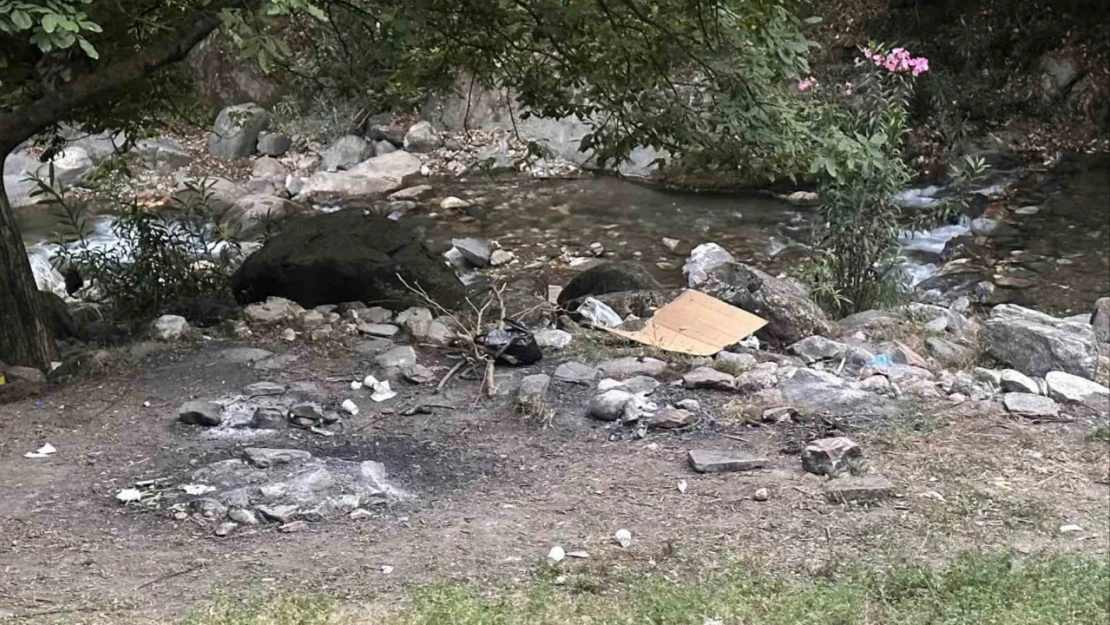 Yasağı delip ormanda mangal yaktılar, jandarmadan kaçamadılar