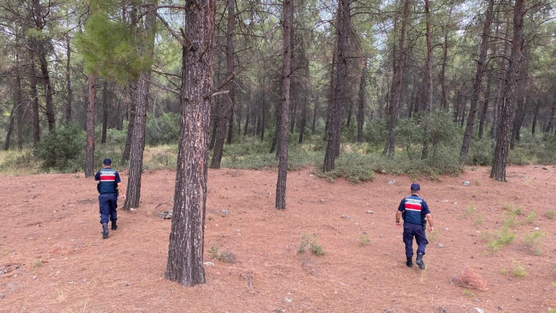 Yasak ormanlık alanlara giren 31 kişi cezadan kaçamadı