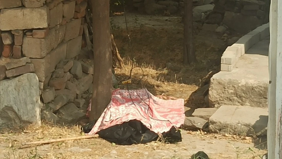Yaşlı kadın, evinin bahçesinde ölü bulundu