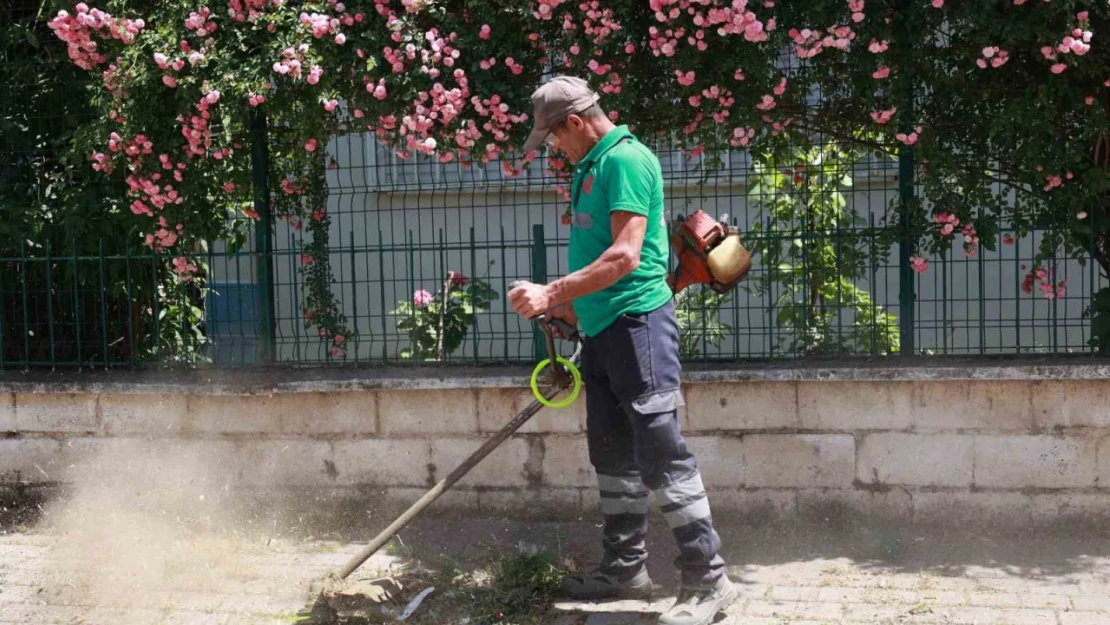 Yedieylül Mahallesi şehir hayatına geri döndü