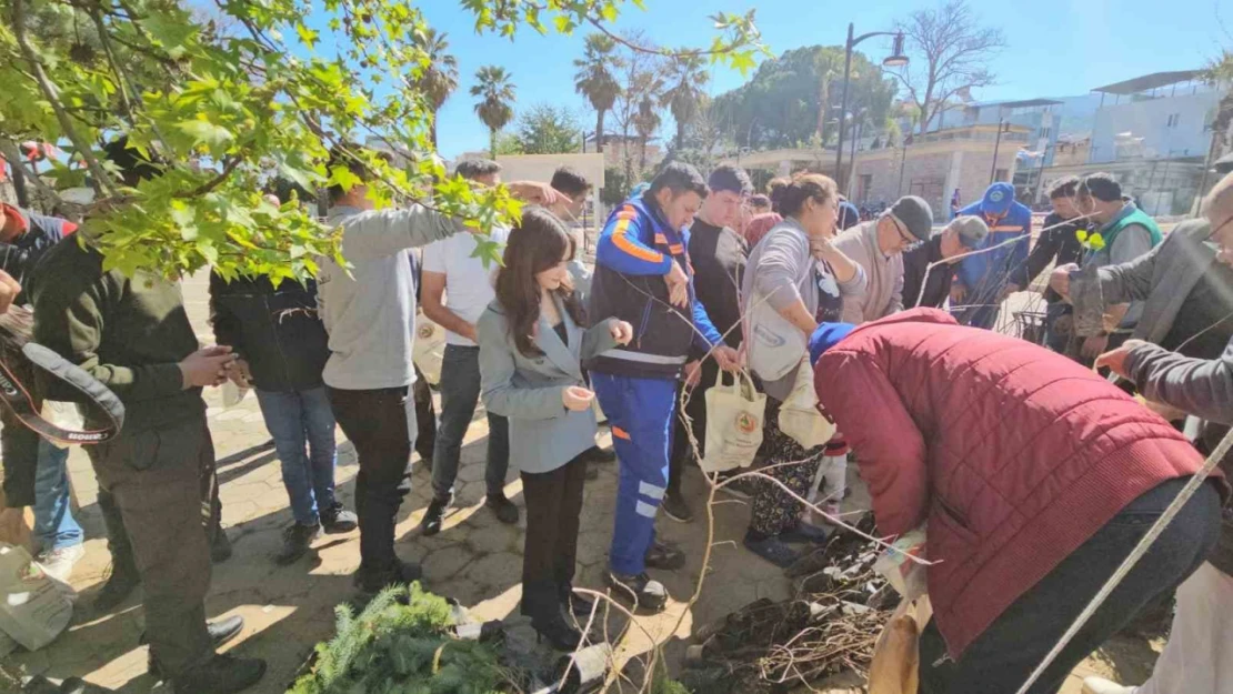 Yenipazar'da 2 bin 500 fidan dağıtıldı