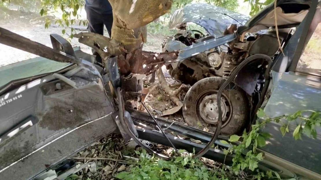 Yoldan çıkan otomobil ağaca çarptı: 1 yaralı