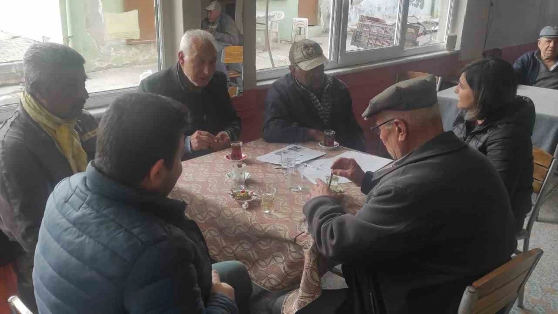 Zeytin üreticileri kokarca zararlısına karşı bilgilendirildi
