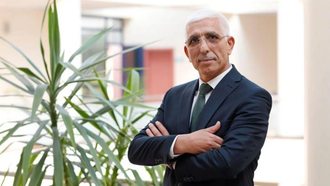 Zeytin üreticisine 91 milyon lira ayni kredi