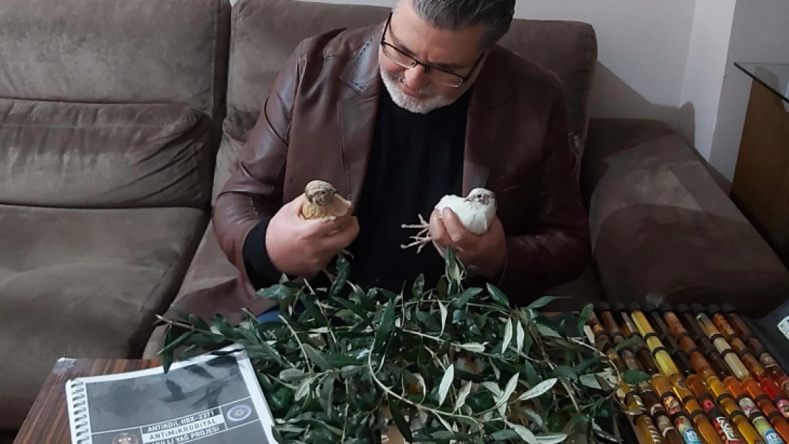 Zeytin yaprağı ve bıldırcın aşkı 15 patent getirdi