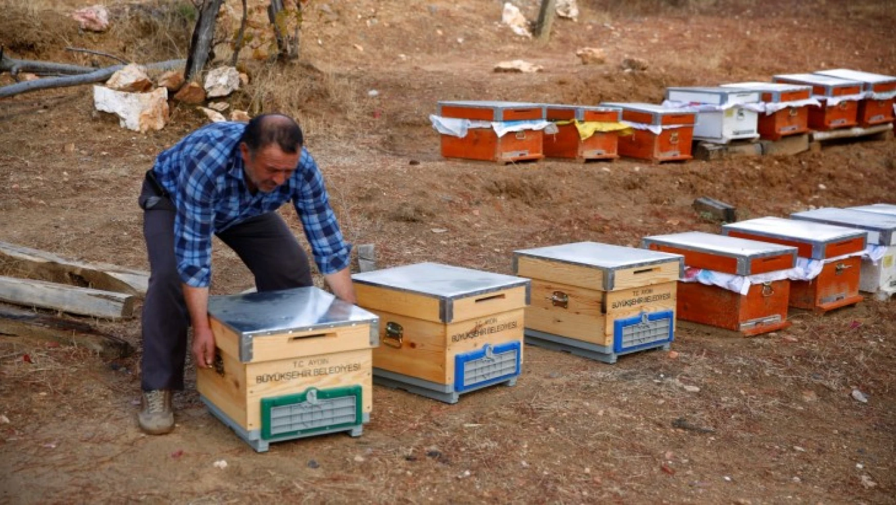Aydın Büyükşehir Belediyesi'nden bal üreticilerine can suyu