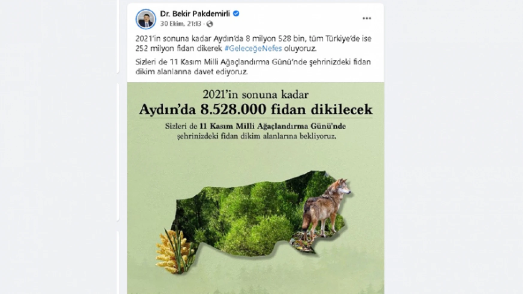 Aydın'da 8.5 milyon fidan dikilecek01