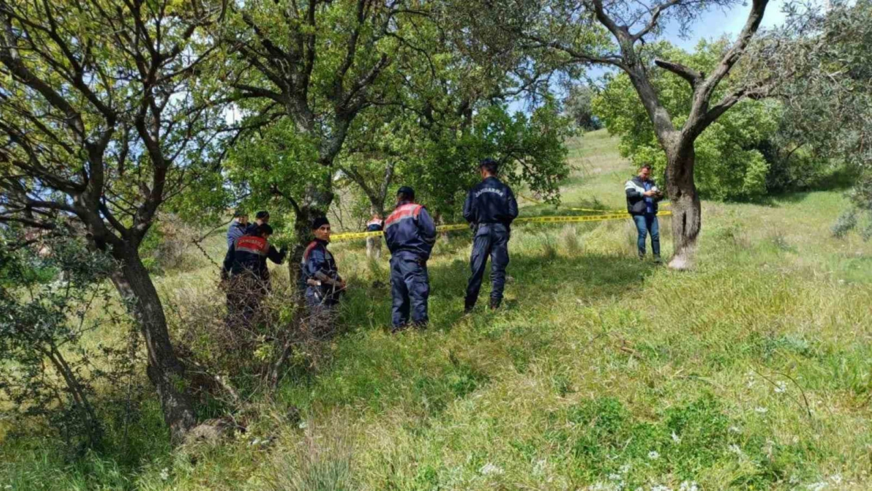 Aydın'da bir kişi ağaçta asılı halde bulundu