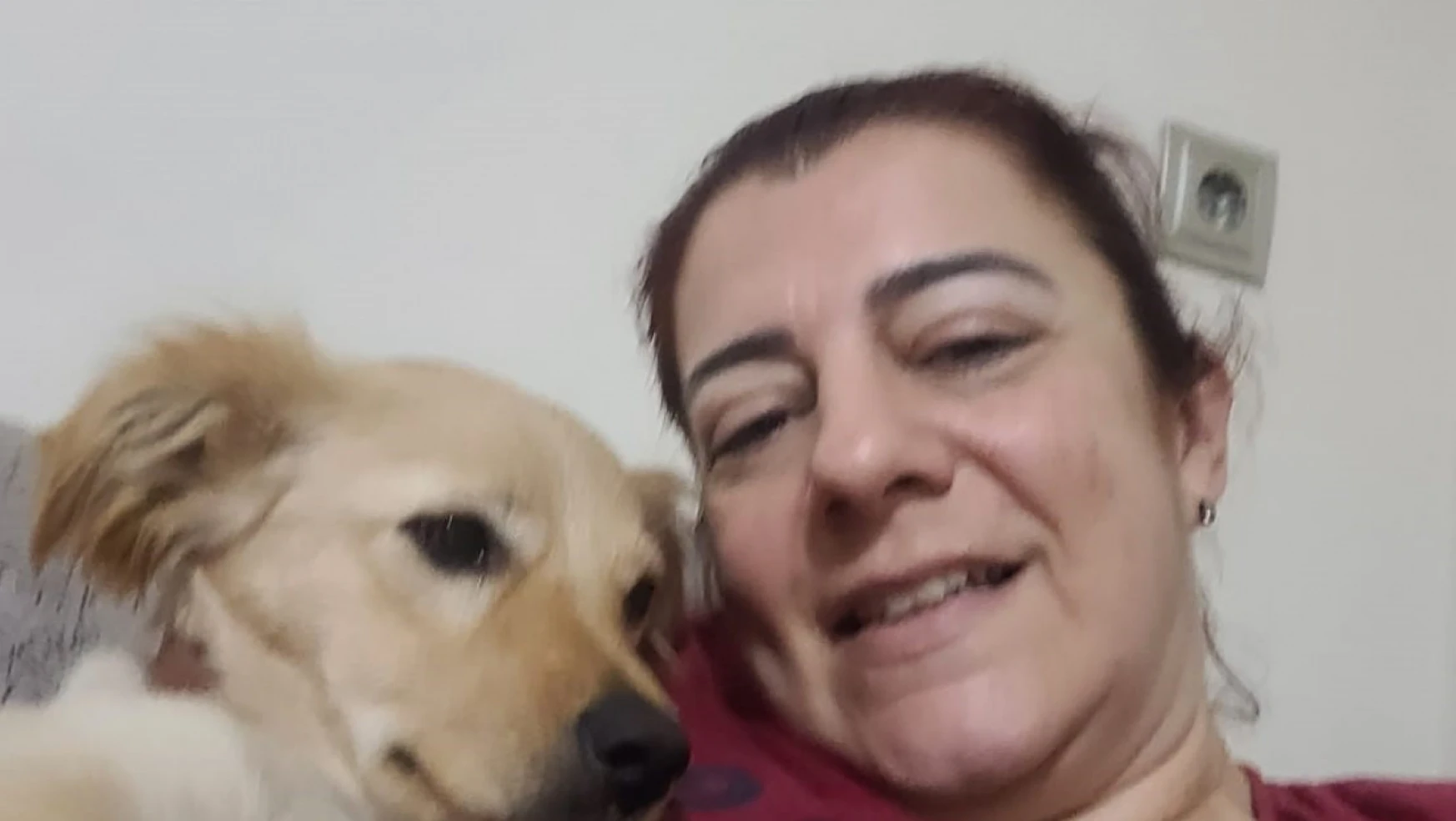 Aydın'daki köpek eğitmeni mağdurlarının sayısı artmaya başladı