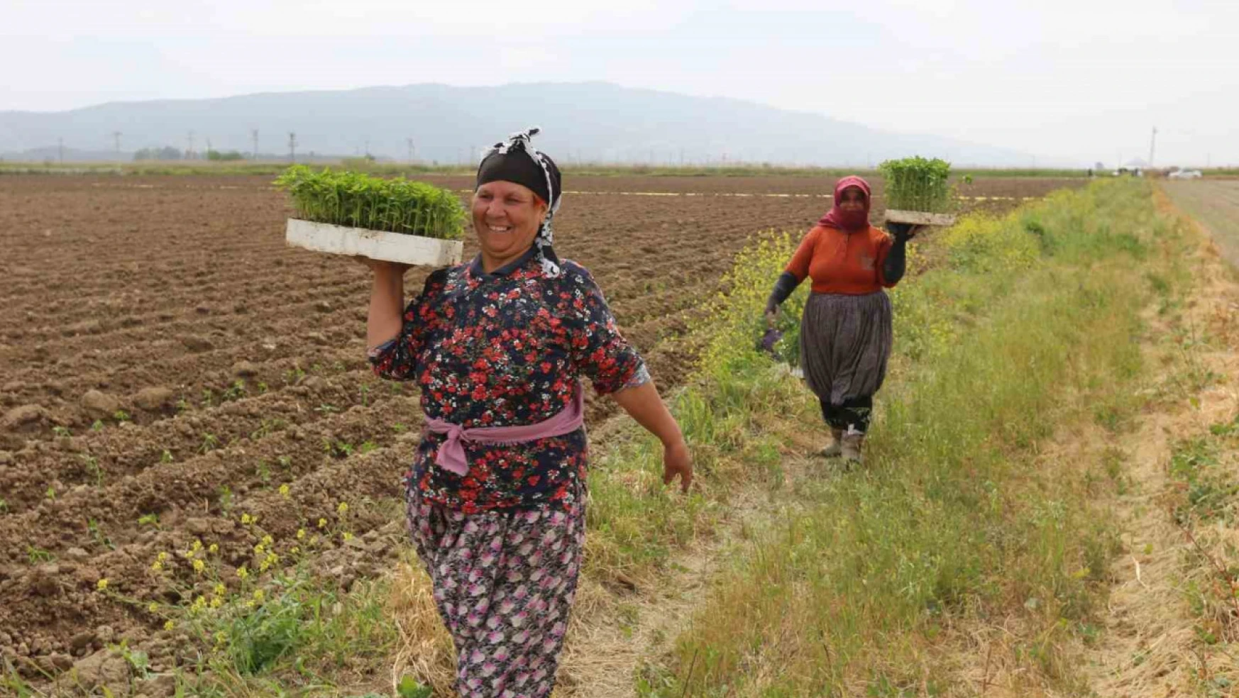 Efeler'de 'Yüzde Yüz Kadın Emeği Tarımsal Ürün Fabrikası' Türkiye'ye örnek oluyor