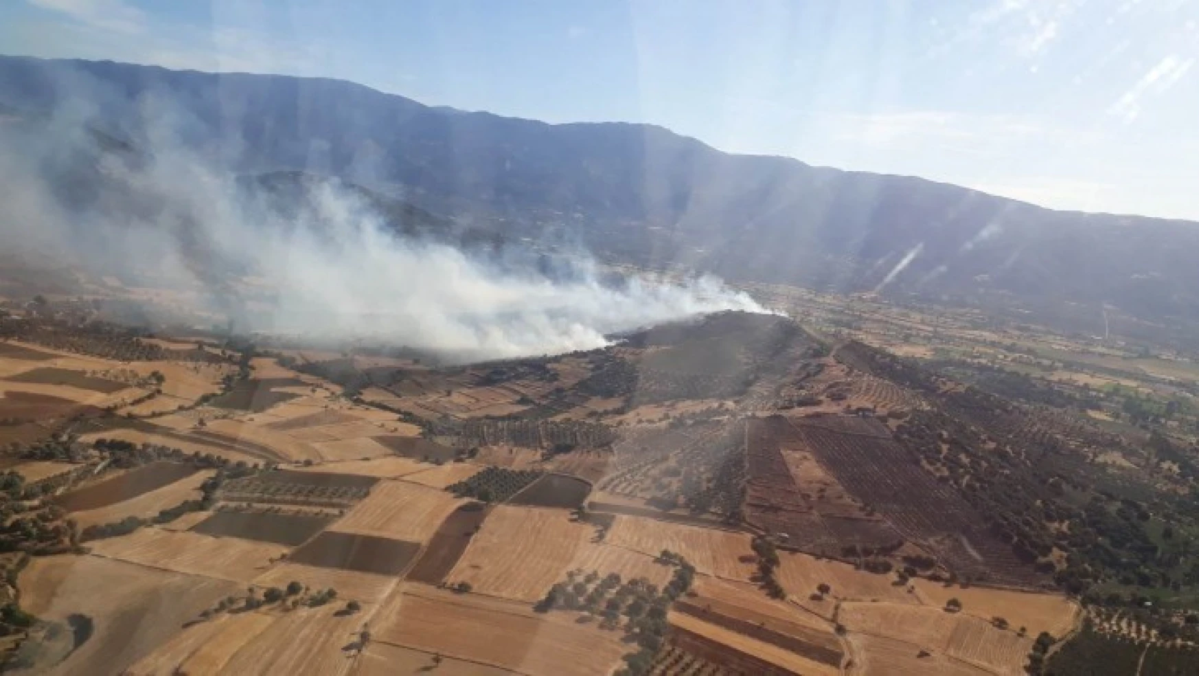 Nazilli'de orman yangını