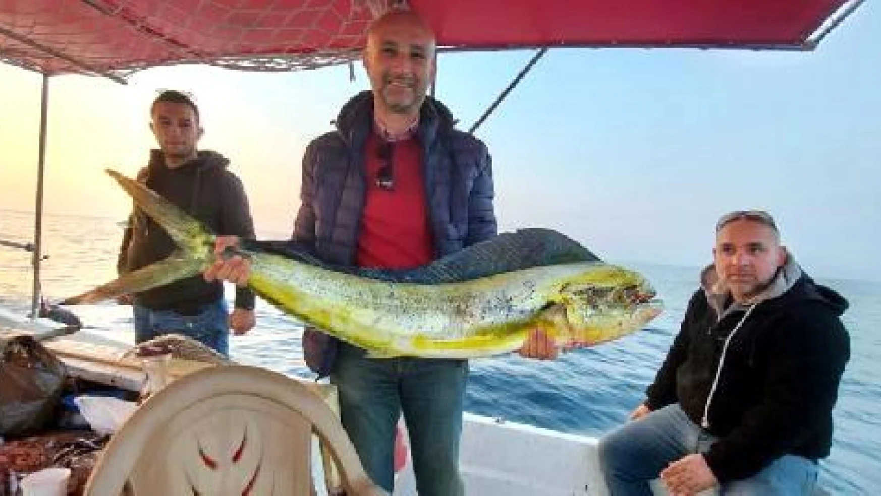 Okyanus balığı 15 kiloluk lambuka, Kuşadası'nda yakalandı