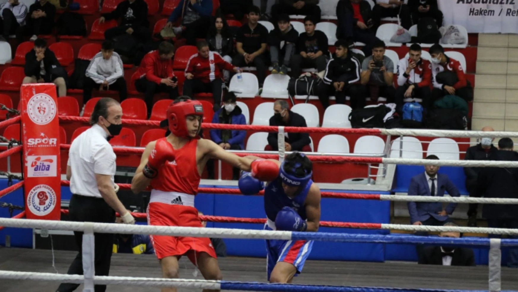 Türkiye Boks Şampiyonası Aydın'da başladı