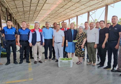 Nazilli'de kaliteli incir için kaliteli ilek denetimleri sürüyor