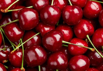 Zirai don kirazı vurdu, geçen yıla göre 61 bin ton ihracat kaybı yaşandı