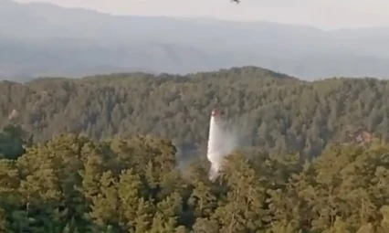 Aydın ve Muğla'daki orman yangınlarına hızlı müdahale