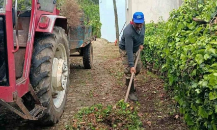 Karacasu Belediyesi'nden Kahvederesi Yaylası'nda temizlik mesaisi